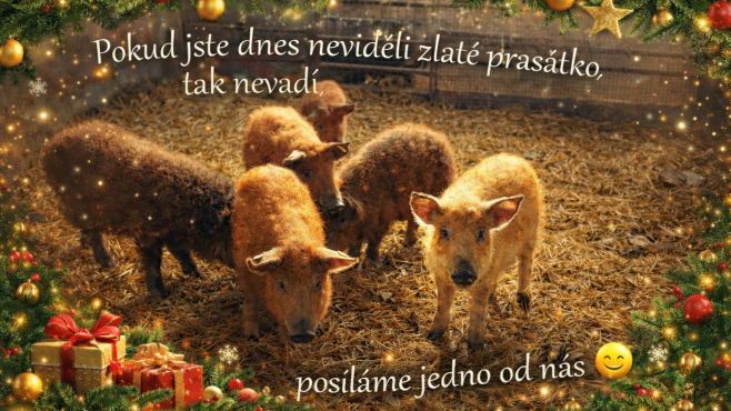 Děkujeme za vaši přízeň v roce 2025 ❤️ V roce 2026 se to znovu pokusíme posunout o kus dál – na farmě, v penzionu, bistru...